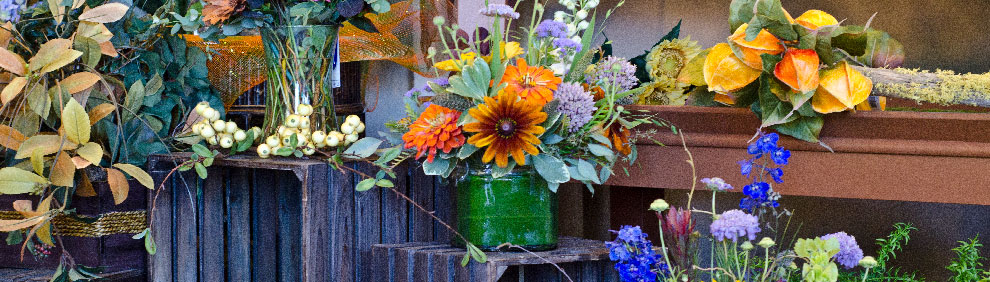 Weekly Flower Services in Fort Collins & surrounding areas!